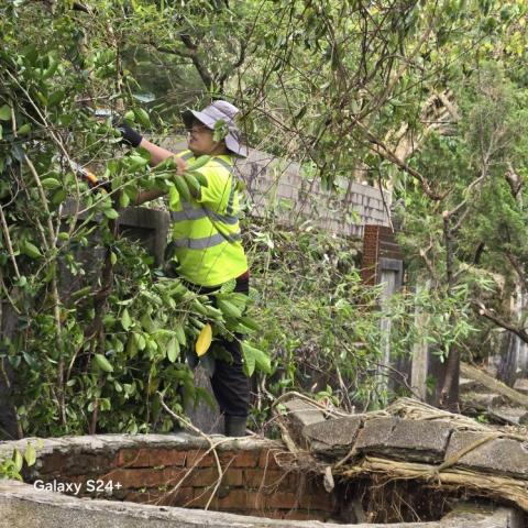 揚子園藝工程行 -  揚子園藝工程行 -