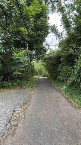 倫心實業有限公司 - 地形勘察