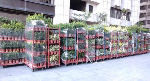 菩提園林 園藝工作室 - 