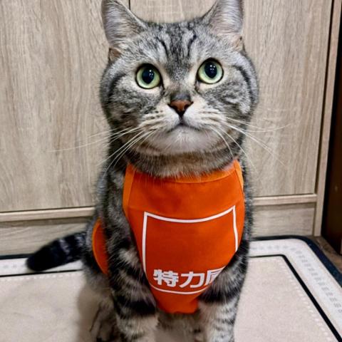 提供美容師服務的專家Alina