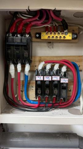 張力仁 -  張力仁 -