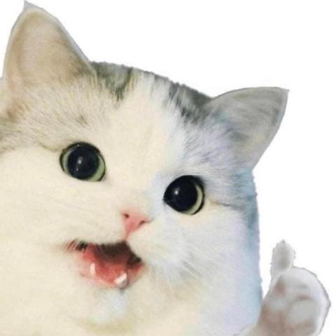 提供besv腳踏車服務的專家汪魯魯