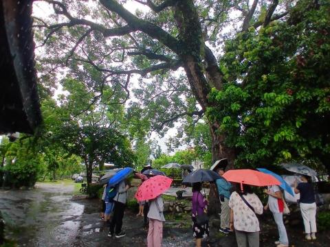 英語導遊English tour guide+行程規劃 - 花蓮