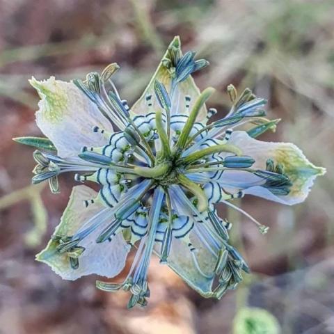 提供補土服務的專家吳小姐