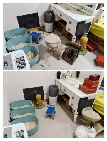 周喵喵個人整潔室 -  周喵喵個人整潔室 -