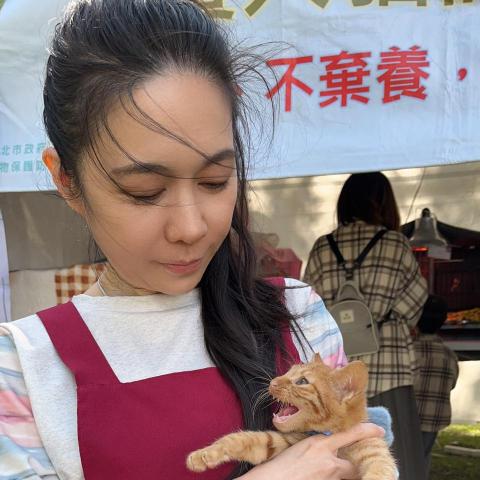 金沙寵物訓練師推薦喵姬愛貓