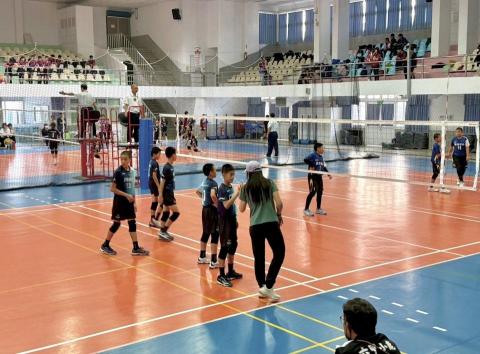 shannon -  shannon -