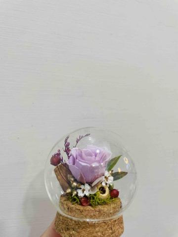 黃珮宸