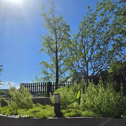 揚子園藝工程行 -  揚子園藝工程行 -