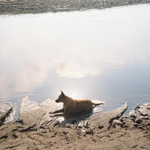 提供哪裡可以學台語服務的專家Angelgina