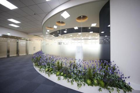 榆果傢飾 - 科技公司廊道薰衣草花園