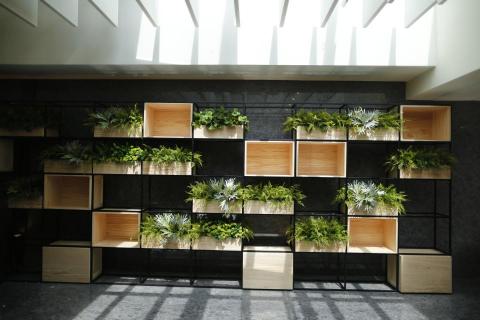 榆果傢飾 - 大面積層板櫃擬真植物設計