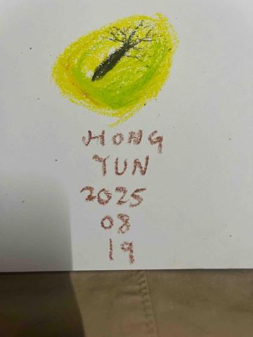 紅芸多元創作工作室 - 