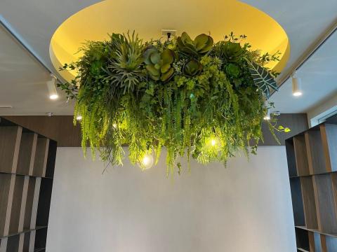 榆果傢飾 - 接待中心懸掛式植物裝置