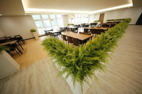 榆果傢飾 - 科技公司用餐區植栽佈置