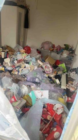 任真清運 - 清運前