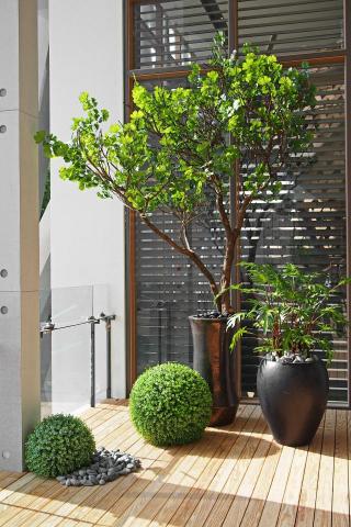 榆果傢飾 - 陽臺特級擬真植物