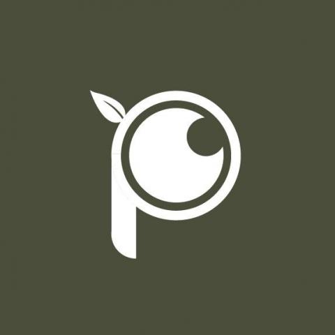 提供證件照服務的專家衞爾攝影