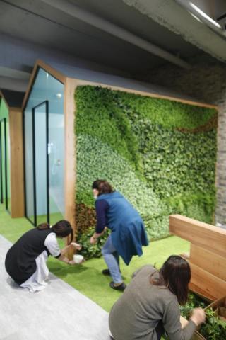 榆果傢飾 - 商務空間植生牆施工