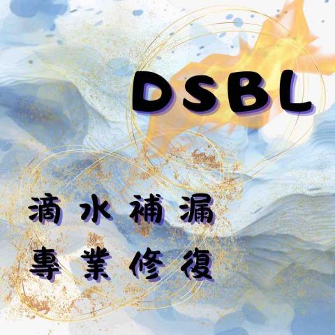 提供漏水檢測服務的專家滴水補漏