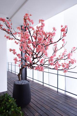 榆果傢飾 - 陽臺特級擬真櫻花樹