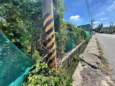 蔡承宏 - 雲林西螺（除草前）