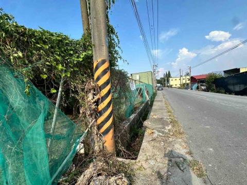 蔡承宏 - 雲林西螺（除草後）