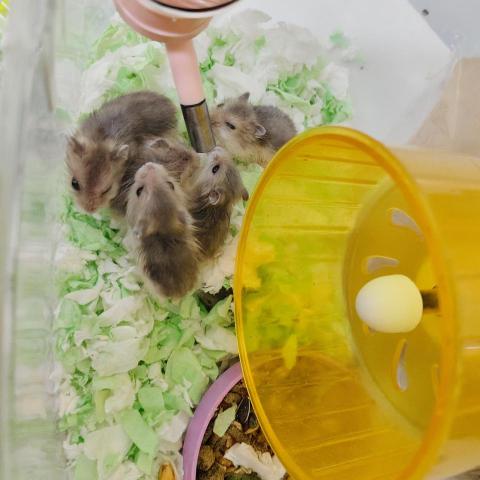 提供時薪高工作服務的專家Yit