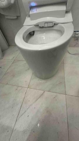 陳政漢 - 衛浴馬桶安裝