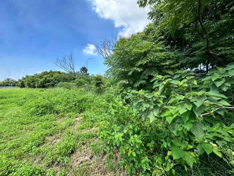 蔡承宏 - 台中梧棲（除草前）