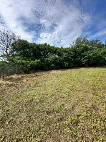 蔡承宏 - 台中梧棲（除草後）