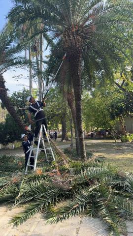 松村園藝有限公司 - 