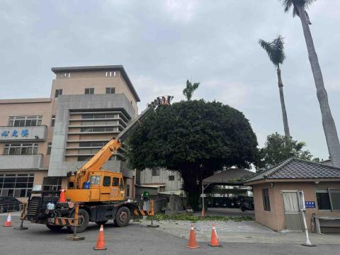 松村園藝有限公司 - 