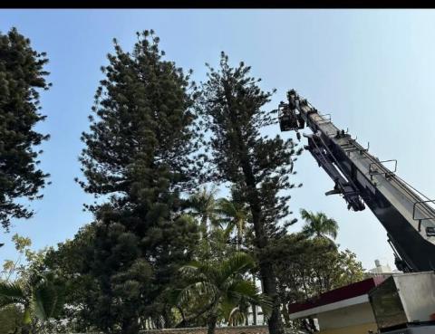 真誠熱衷的為你服務 - 吊車作業