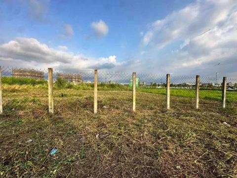 蔡承宏 - 台中南屯（除草後）