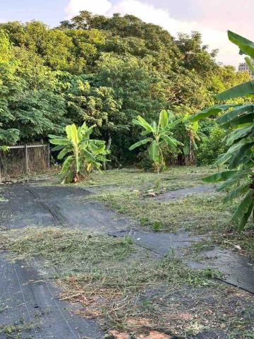 蔡承宏 - 台中西屯（除草後）