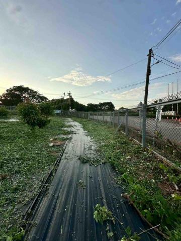 蔡承宏 - 台中西屯（除草後）