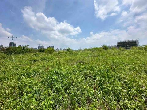 蔡承宏 - 台中南屯（除草前）