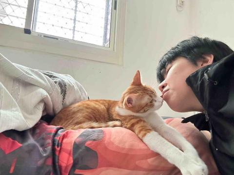 提供保母服務的專家BestCats