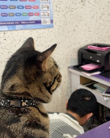 超峰電腦宅修 - 