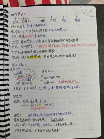 王翊詠 - 生物整理筆記參考