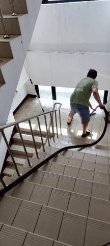 米爾塔空間精靈•專家🌿 - 