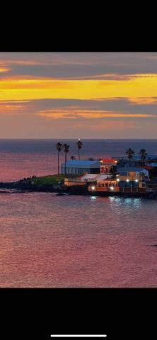 提供35服務的專家林子榆