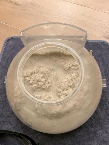 除蟎師阿琦 - 滿滿的塵蟎大軍遺骸,床墊真的要定期除蟎!