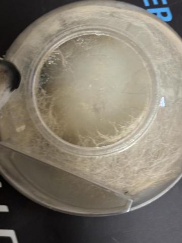 除蟎師阿琦 - 柴柴飼主家的空氣品質：毛茸茸