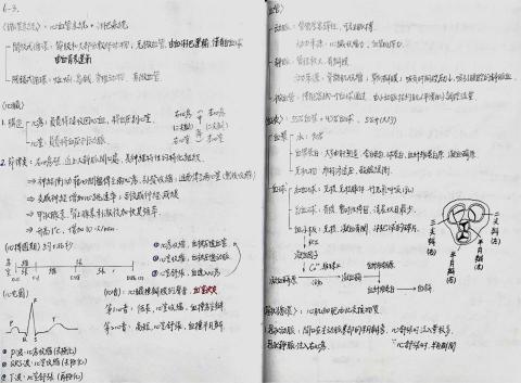 李老師 - 生物筆記參考