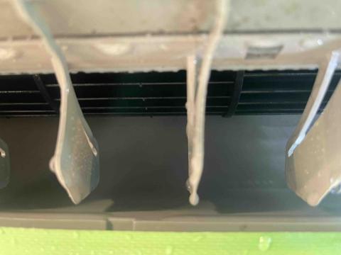 蕭鼎潤（企鵝洗淨） - 