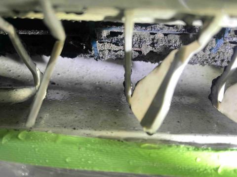 蕭鼎潤（企鵝洗淨） - 