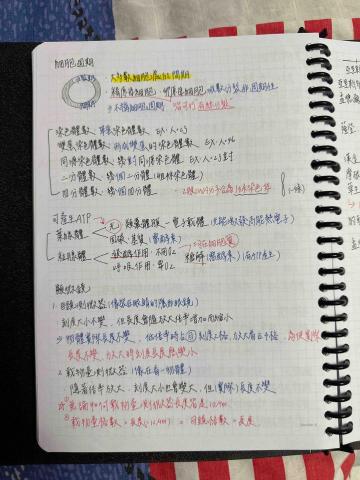 王翊詠 - 生物筆記參考