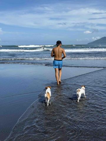 狗狗運動/散步/放電/陪玩 - 烏石港沙灘